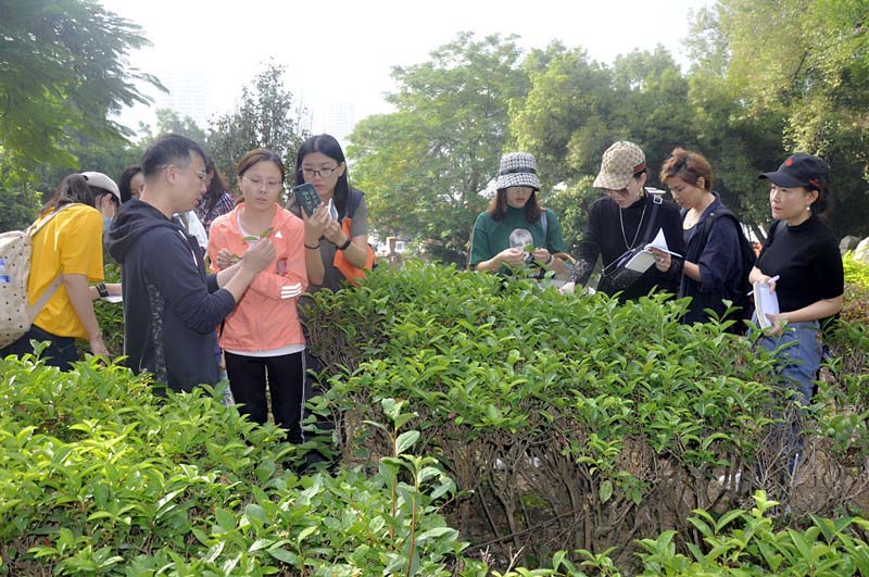 7月茶艺师培训师培训班哪里好?